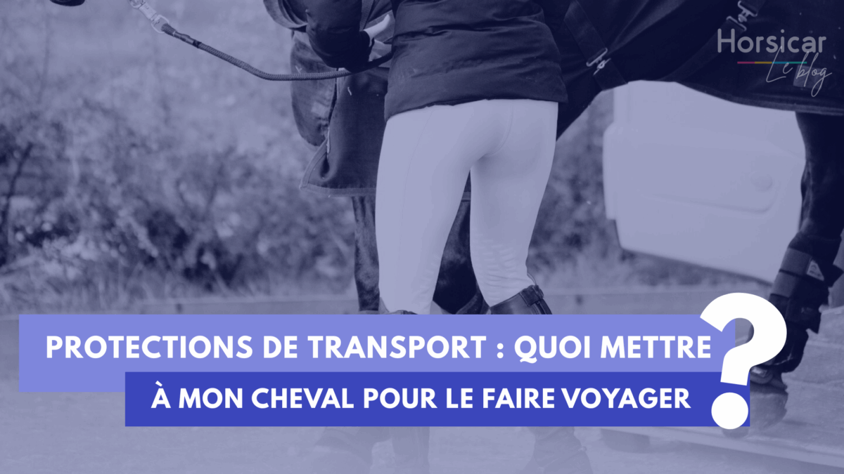 Protections de transport : quoi mettre à mon cheval pour le faire voyager ? Template - Quelles protections de transport pour faire voyager mon cheval ?