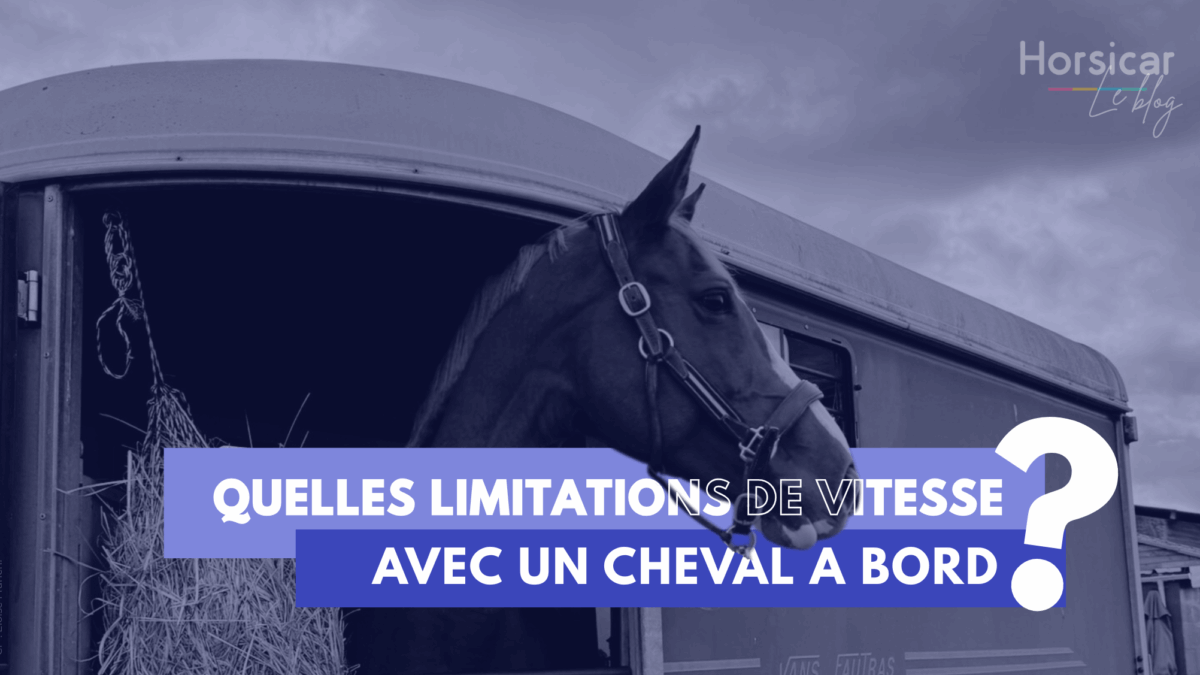 Transport de chevaux : quelles sont les limitations de vitesse avec un van ou un camion VL / PL ? 🛣️ Template - limitations vitesse avec un cheval