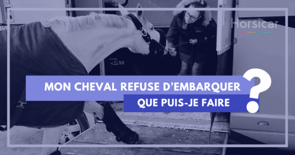 Template - Mon cheval refuse d'embarquer
