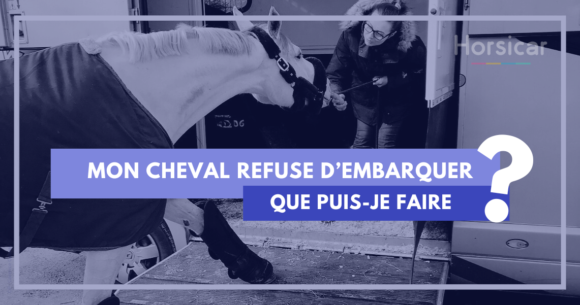 Mon cheval refuse d’embarquer, que puis-je faire ? đŽ Template - Mon cheval refuse d'embarquer